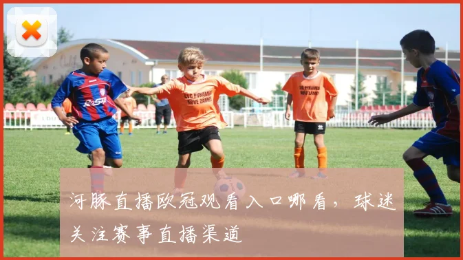 河豚直播欧冠观看入口哪看，球迷关注赛事直播渠道