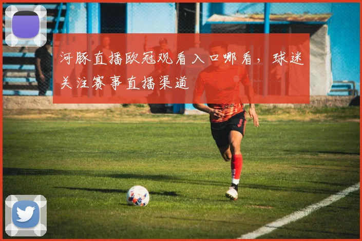 河豚直播欧冠观看入口哪看,球迷关注赛事直播渠道